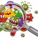 공항초등학교 이미지