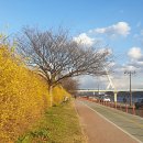 금호강변 이미지