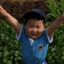 성아농장 Daum카페