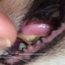 서울메이치과병원 이미지