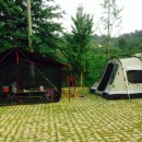 비비당구장 이미지