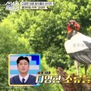 소베라니아 | 선 넘은 패밀리 감보아 어디? 다양한 야생 동식물의 서식지 열대우림 지역
