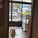 사람곡간 이미지