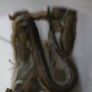 대명민박 이미지