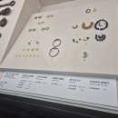 국립부여박물관 전시실 | 충남 부여 아이랑 가볼만한곳 부여국립박물관 볼거리 무료 관람후기