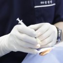 일점영안과의원 | 청주 황반변성 안과, 습성과 건성은 어떻게 다를까요?