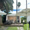 지성카서비스 | 제주도 칠순여행 대가족 여행꿀팁 신라호텔 수영장 카바나 상세후기 썬배드 예약방법까지!