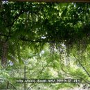 한민농장 이미지