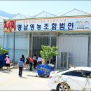 산자락영농조합법인 이미지