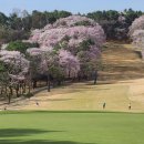 고양컨트리클럽(주) 이미지