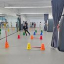 금모래 태권도장 이미지