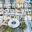 올바른부동산중개사무소 이미지