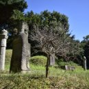 광주이씨광릉부원군파묘역 이미지