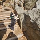 혜민의원 | 🐶 예뻐하던 강아지에게 손 물렸습니다… 응급처치부터 병원 다녀온 이야기