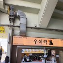 미연네먹거리 | (2026 잠실야구장 먹거리 후기) 초장집 육회물회, 중앙 네이비 320블록 시야 후기 (우이락,샤오마라)