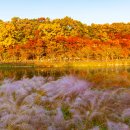 율동공원 이미지