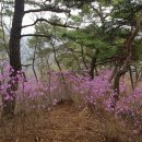 월악주유소 이미지