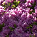 서촌공원 이미지