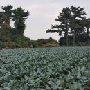 성산별장 이미지