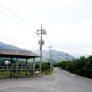 송하버섯마을 이미지