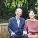 &#34;유시민 망언… 노무현 팔아 호가호위한 &#39;가짜 진보&#39;의 민낯&#34; 이미지