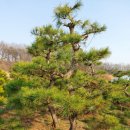 정암농장 이미지