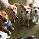 살랑살랑 이미지