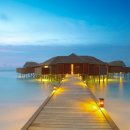 성원항공여행사