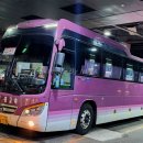 용인공용버스터미널 네이버블로그