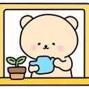 13월의 제주 이미지