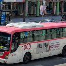 다니다 주식회사 이미지