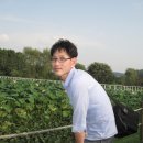 충주중앙탑초등학교 이미지