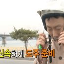 단하나무