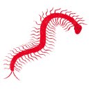 [괴물여지도] 향랑각시 이미지