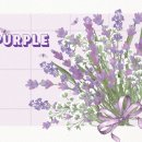 퍼플purple