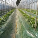 성림농원 이미지