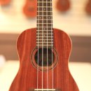 우쿨렐레연주 이미지