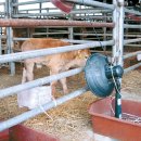 이상욱농장 이미지