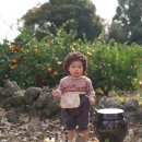 나래농장2 이미지