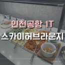 예전29-15 농로 | 인천공항 1터미널 스카이허브라운지(gate29) 더라운지 이용권 구입이용 후기!