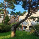 낙성대공원도서관 | 서울 관악구 <낙성대공원> 방문 후기!