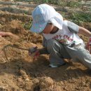 삼촌농장 이미지