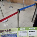 밀양 영남알프스 얼음골 케이블카 이용후기 입장료 및 주차장 운행시간