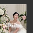 스햅