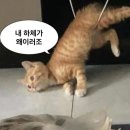 연등옆골 | [2026]01.05-01.11