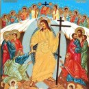 5월 9일 부활 제6 주간 목요일 (요한 16,16-20)「근심은 기쁨으로 바뀔 것이다」반영억 라파엘 신부 이미지