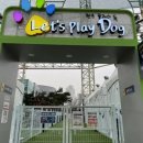 시원애견 이미지