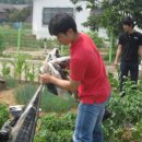 신태인고등학교 이미지