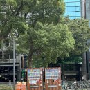 사루개 | 투어, 다카야마, 시라카와고, 하브스 나고야 본점, 사루보보, 히다규스시, 다카야마 양조장, 사케잔 가챠