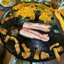 솥쟁이 이미지